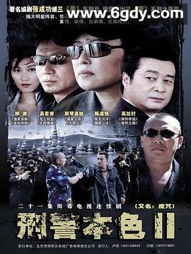 刑警本色2(2007)完结已完结迅雷网盘全集下载