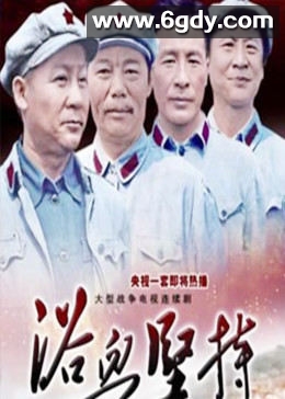 浴血坚持(2008)完结已完结迅雷网盘全集下载