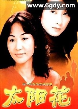 太阳花2004(2004)完结已完结迅雷网盘全集下载
