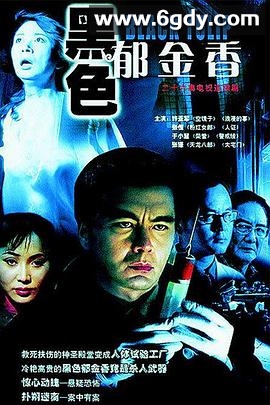 黑色郁金香(2004)完结已完结迅雷网盘全集下载