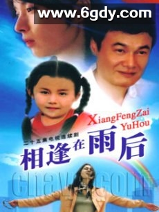 相逢在雨后(2007)完结已完结迅雷网盘全集下载