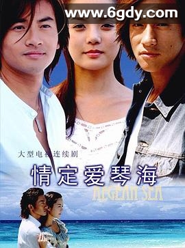 情定爱琴海(2004)完结已完结迅雷网盘全集下载