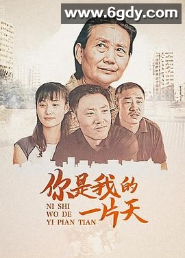 你是我的一片天(2008)完结已完结迅雷网盘全集下载