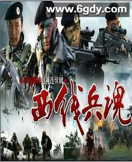 西线兵魂(2002)完结已完结迅雷网盘全集下载