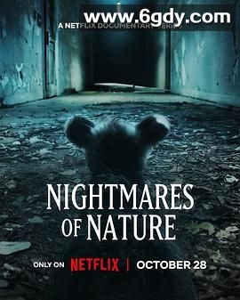 大自然的噩梦：迷失丛林(2025)完结3集全迅雷网盘全集下载