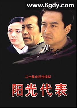 阳光代表(2002)完结已完结迅雷网盘全集下载