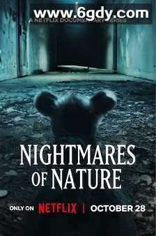 大自然恐怖故事：迷失丛林(2025)完结3集全迅雷网盘全集下载