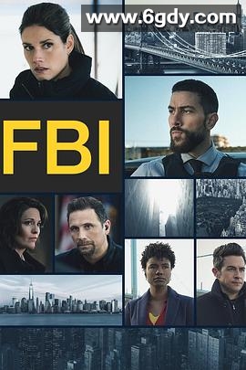 联邦调查局 第五季(2022)完结23集全迅雷网盘全集下载