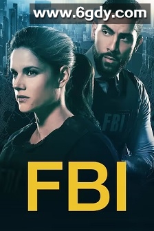 联邦调查局 第四季(2021)完结22集全迅雷网盘全集下载