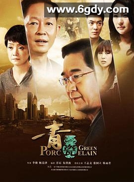 青瓷(2012)完结已完结迅雷网盘全集下载