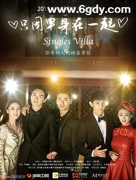 只因单身在一起(2015)完结已完结迅雷网盘全集下载