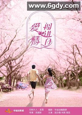 爱情闯进门(2012)完结已完结迅雷网盘全集下载