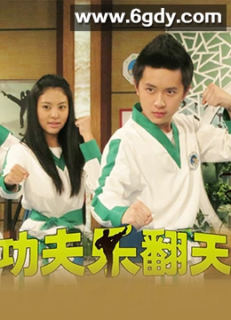 功夫乐翻天(2015)完结已完结迅雷网盘全集下载