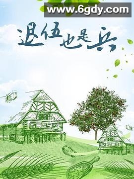 退伍也是兵(2016)完结已完结迅雷网盘全集下载