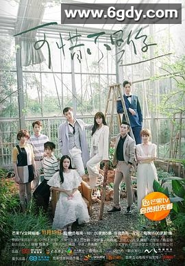 可惜不是你(2017)完结24集全迅雷网盘全集下载