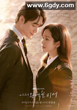 我的完美秘书(2025)完结全12集迅雷网盘全集下载