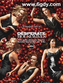 绝望主妇 第二季(2005)完结24集全迅雷网盘全集下载