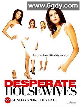 绝望主妇 第一季(2004)完结23集全迅雷网盘全集下载