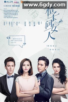 格子间女人(2014)完结30集全迅雷网盘全集下载