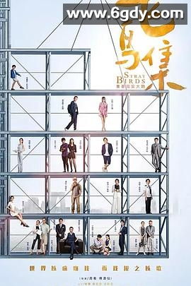 飞鸟集(2021)完结40集全迅雷网盘全集下载