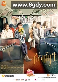 向阳而生(2020)完结40集全迅雷网盘全集下载