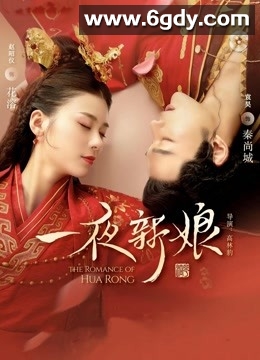 一夜新娘(2019)完结24集全迅雷网盘全集下载
