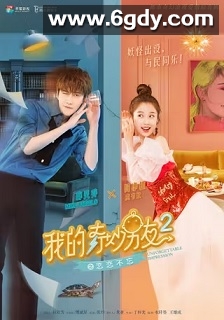 我的奇妙男友2之恋恋不忘(2019)完结38集全迅雷网盘全集下载