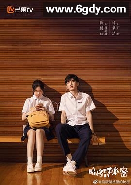 暗格里的秘密(2021)完结24集全迅雷网盘全集下载