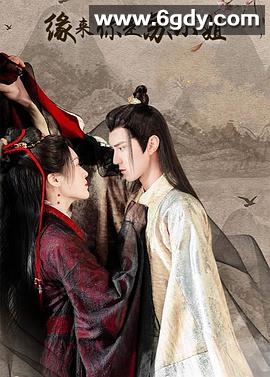 缘来你是苏小姐(2022)完结已完结迅雷网盘全集下载