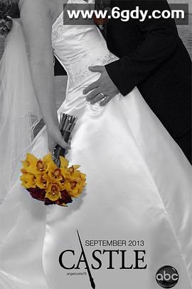 灵书妙探 第六季(2013)完结23集全迅雷网盘全集下载