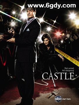 灵书妙探 第二季(2009)完结24集全迅雷网盘全集下载