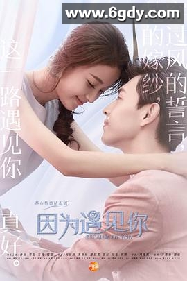 因为遇见你(2017)完结56集全迅雷网盘全集下载