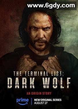 终极名单：黑狼(2025)完结7集全迅雷网盘全集下载