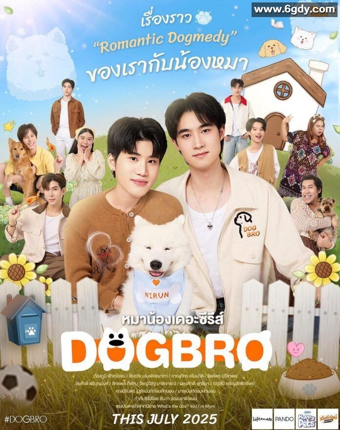 恋爱汪汪汪(2025)完结已完结迅雷网盘全集下载