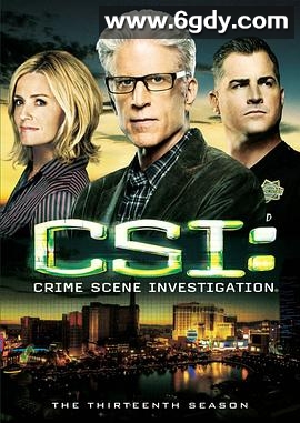 犯罪现场调查 第十三季(2012)完结22集全迅雷网盘全集下载