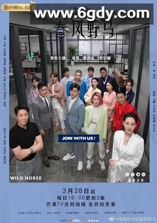 许你春风野马(2023)完结40集全迅雷网盘全集下载