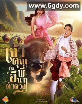 贵族少爷和农场女孩(2025)完结已完结迅雷网盘全集下载