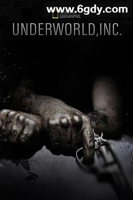 黑市大企业 第一季(2015)完结6集全迅雷网盘全集下载