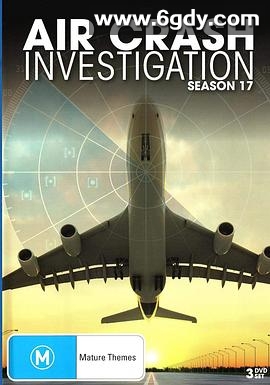 空中浩劫 第十七季(2017)完结10集全迅雷网盘全集下载