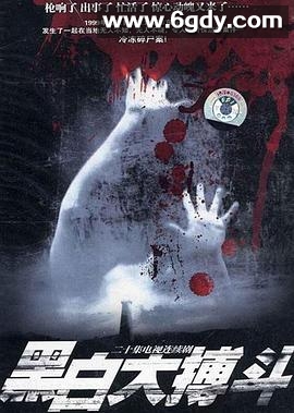 黑白大搏斗(2001)完结已完结迅雷网盘全集下载
