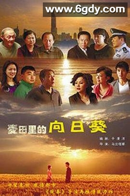 葵花进城(2010)完结更新至第28集迅雷网盘全集下载