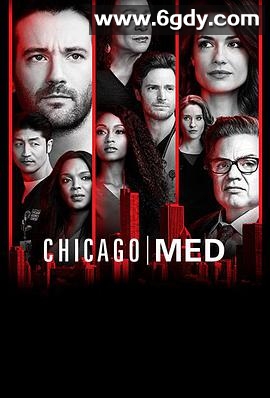 芝加哥急救 第四季(2018)完结22集全迅雷网盘全集下载