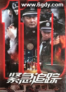 紧急追踪(2002)完结已完结迅雷网盘全集下载