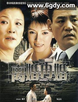 离婚再婚(2004)完结已完结迅雷网盘全集下载