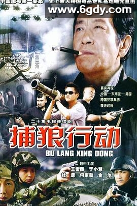 捕狼行动(2003)完结已完结迅雷网盘全集下载