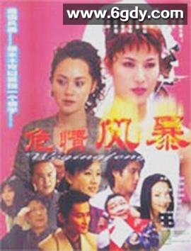 危情风暴(2001)完结已完结迅雷网盘全集下载
