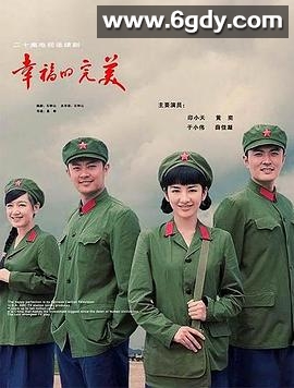 幸福的完美(2009)完结已完结迅雷网盘全集下载