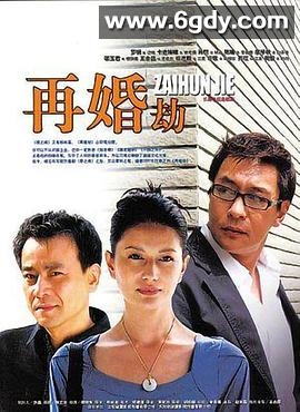 再婚劫(2009)完结已完结迅雷网盘全集下载