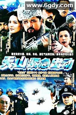 天山紧急出动(2004)完结已完结迅雷网盘全集下载