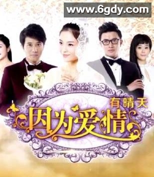 因为爱情有晴天(2013)完结40集全迅雷网盘全集下载